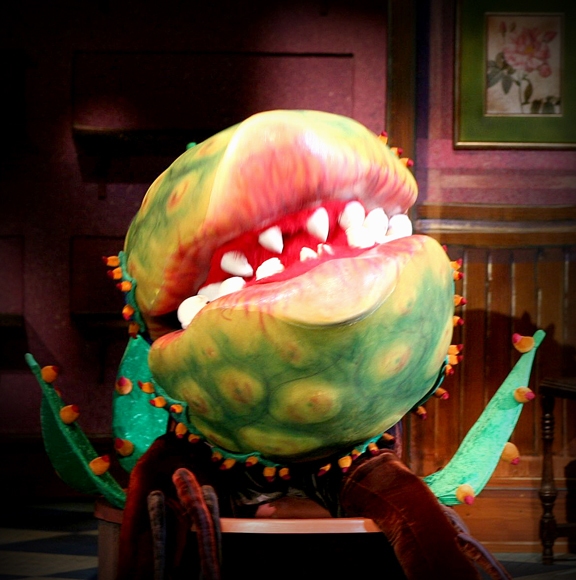 Photo Flash: Production Shots from LITTLE SHOP OF HORRORS at the Muny! Image