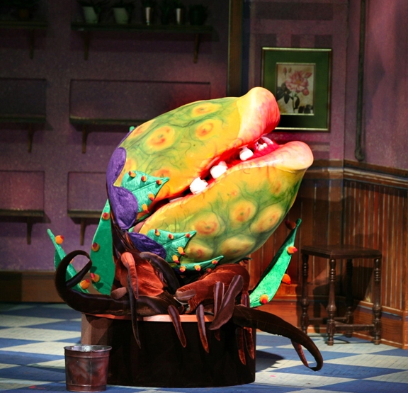Photo Flash: Production Shots from LITTLE SHOP OF HORRORS at the Muny! Image