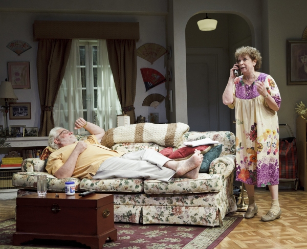 Photo Flash: First Look at Primary Stage's OLIVE AND THE BITTER HERBS Image