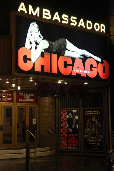 Photo Coverage: Kara DioGuardi Makes Broadway Debut as 'Roxie' in CHICAGO! Image