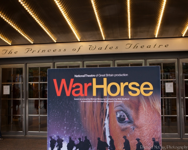 Photo Coverage: WAR HORSE Fan Ticket Giveaway in Toronto Image