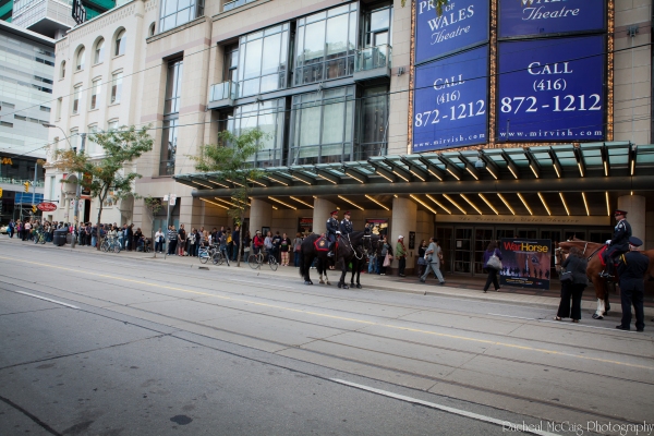 Photo Coverage: WAR HORSE Fan Ticket Giveaway in Toronto Image