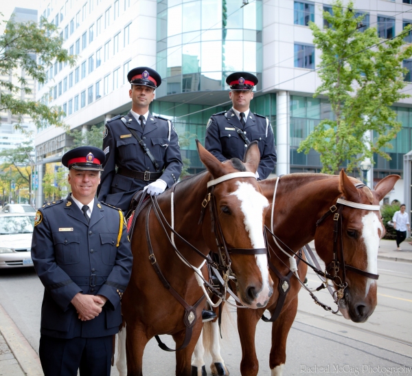 Photo Coverage: WAR HORSE Fan Ticket Giveaway in Toronto Image