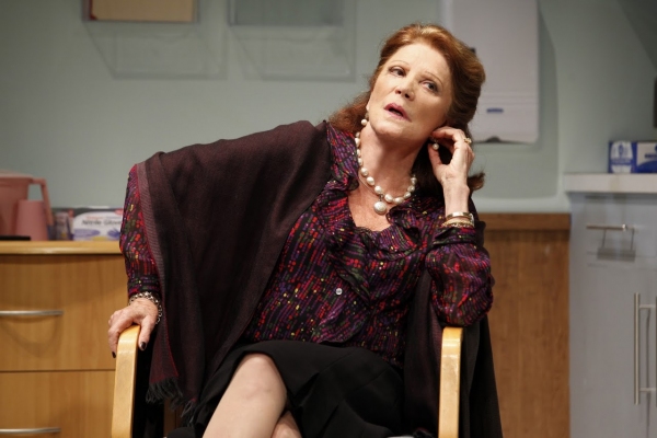 Photo Flash: First Look at THE LYONS at Vineyard Theatre Image