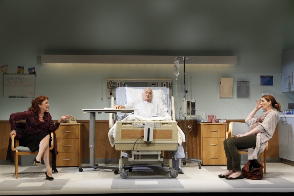 Photo Flash: First Look at THE LYONS at Vineyard Theatre 