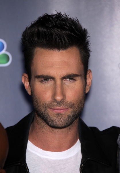 Photo Flash: Season 2 of THE VOICE Announced Image