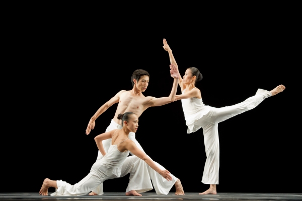 Photo Flash: Cloud Gate Dance Theatre's WHITE  Image