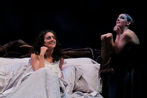 Photo Flash: Villanova Launches Abbey Theatre Exchange with WOMAN AND SCARECROW 