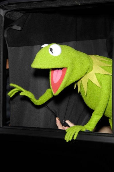 Photo Flash: Premiere of New MUPPETS Movie Image