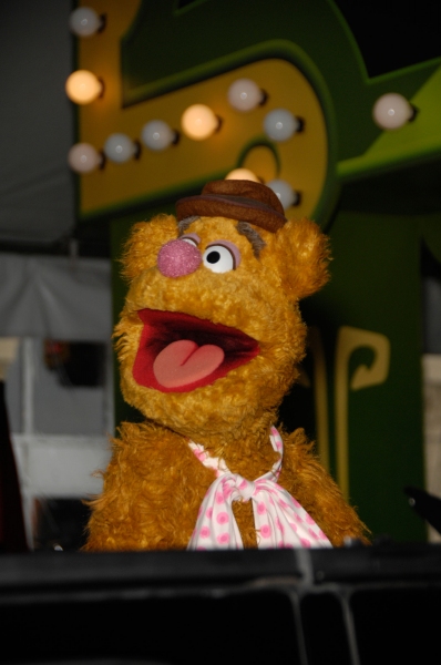 Photo Flash: Premiere of New MUPPETS Movie 
