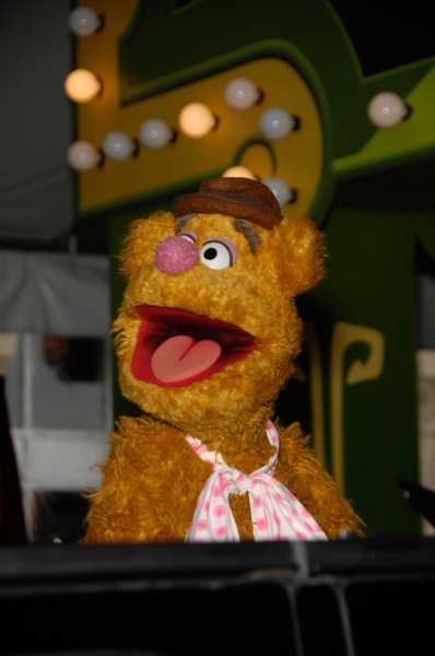 Photo Flash: Premiere of New MUPPETS Movie Image