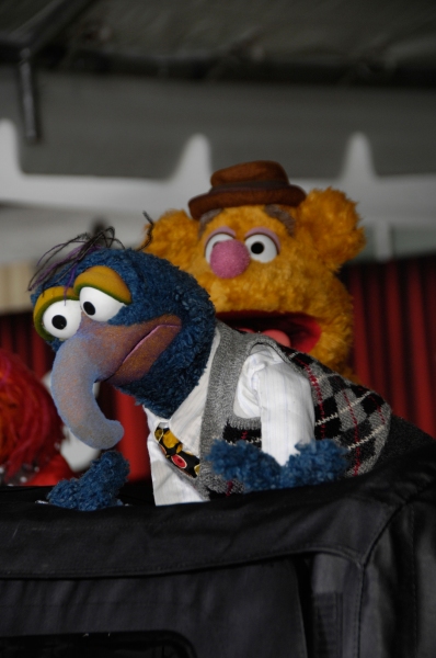Photo Flash: Premiere of New MUPPETS Movie Image