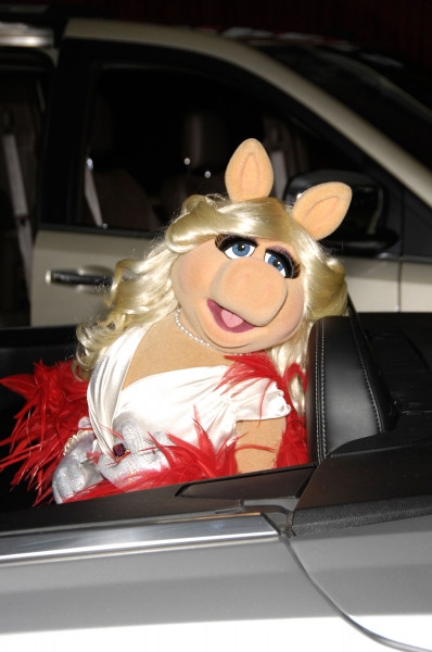 Photo Flash: Premiere of New MUPPETS Movie Image