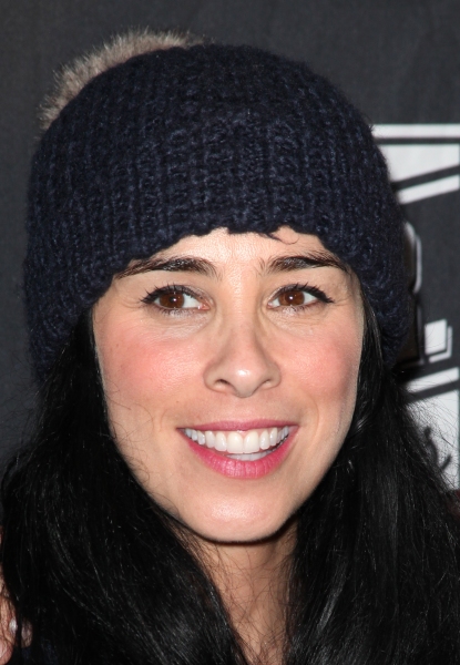 Photo Coverage: Sarah Silverman, Jason Biggs & More at the 2011 24 HOUR PLAYS Image