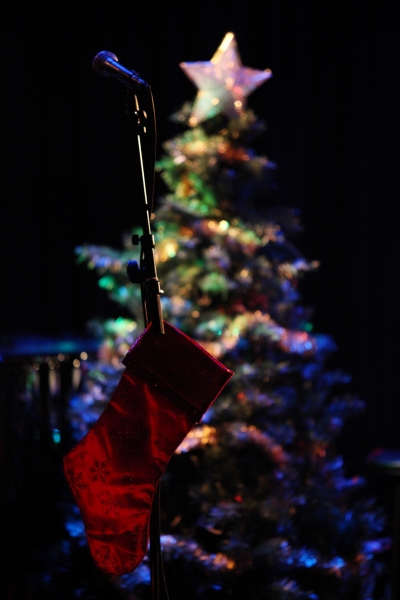Photo Coverage: Robin de Jesus, Nick Adams & More Play TOYS FOR TOTS Concert Image