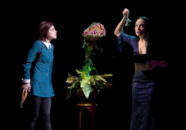 Photo Flashback: THE ADDAMS FAMILY Closes on Broadway Image