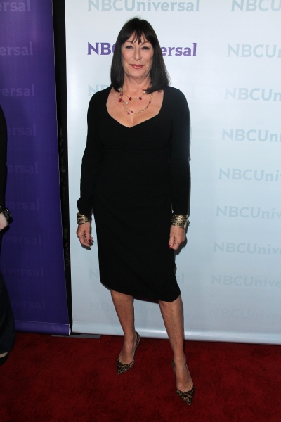 Photo Flash: SMASH on the Red Carpet at NBC's TCA Showcase! Image