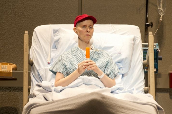 Photo Flash: First Look at Cynthia Nixon in WIT Image