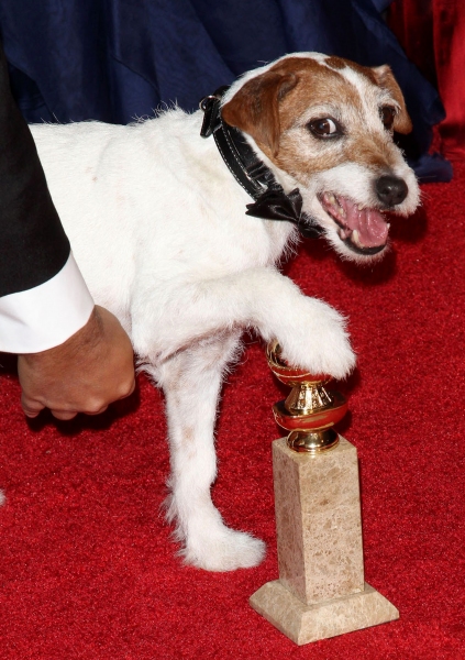 Photo Coverage: 2012 Golden Globe Awards - The Winners! Image