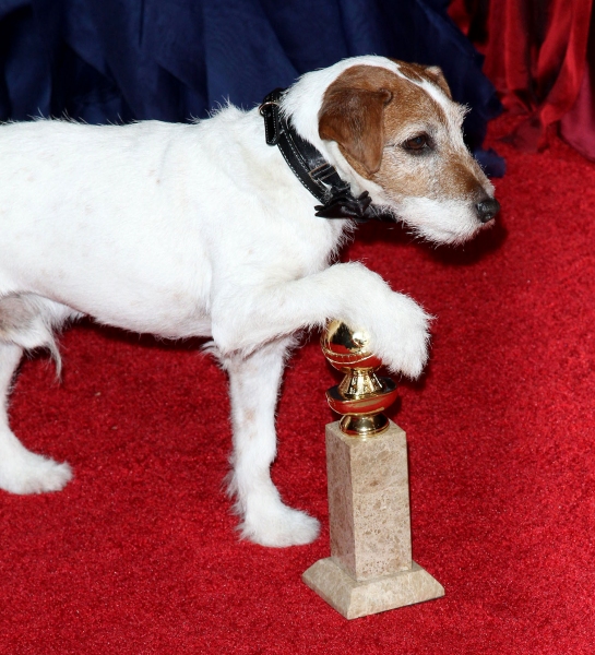 Photo Coverage: 2012 Golden Globe Awards - The Winners! Image