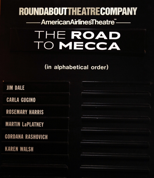 Photo Coverage: THE ROAD TO MECCA Opening Night Curtain Call Image