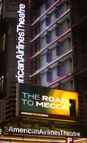 Photo Coverage: THE ROAD TO MECCA Opening Night Curtain Call Image