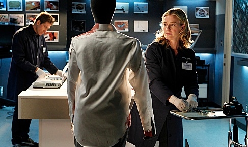 Photo Flash: First Look - Elisabeth Shue Joins the Cast of CBS's CSI, 2/15  Image