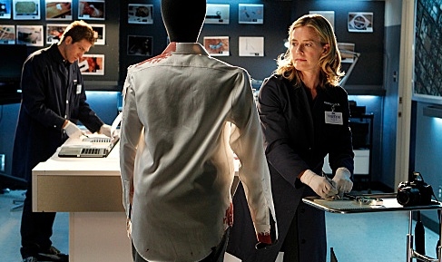 Photo Flash: First Look - Elisabeth Shue Joins the Cast of CBS's CSI, 2/15 Image