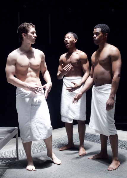 Photo Flash: First Look at the Old Globe's THE RECOMMENDATION in Performance Image