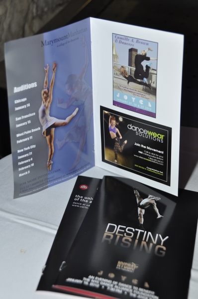 Photo Flash: NYCDAF's Destiny Rising Benefit Image