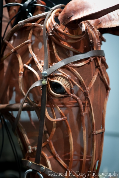 Photo Coverage: Sneak Peek at Toronto's WAR HORSE 