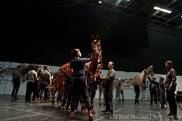 Photo Coverage: Sneak Peek at Toronto's WAR HORSE Image