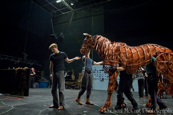 Photo Coverage: Sneak Peek at Toronto's WAR HORSE 