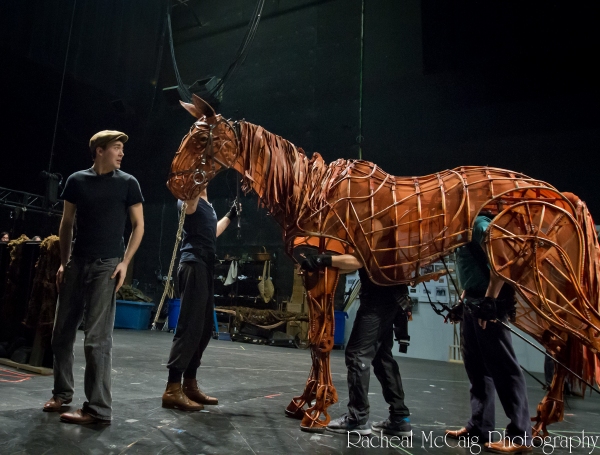 Photo Coverage: Sneak Peek at Toronto's WAR HORSE Image