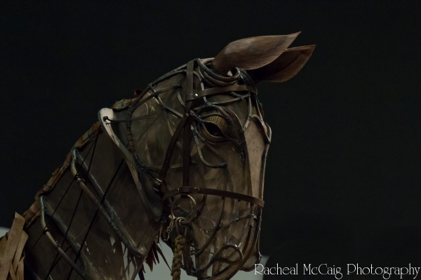 Photo Coverage: Sneak Peek at Toronto's WAR HORSE 