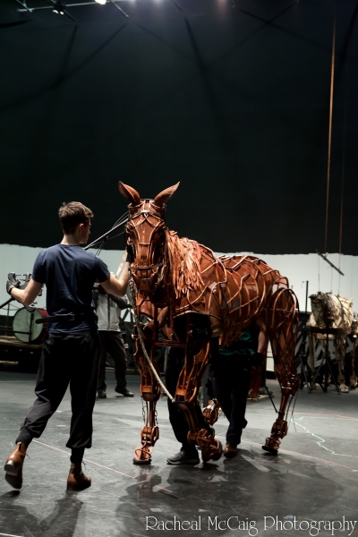 Photo Coverage: Sneak Peek at Toronto's WAR HORSE 