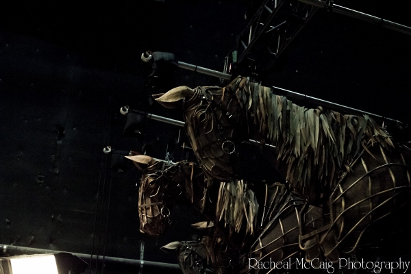 Photo Coverage: Sneak Peek at Toronto's WAR HORSE Image