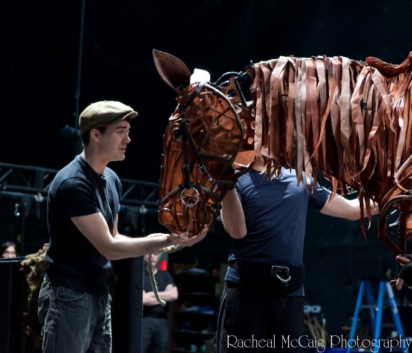 Photo Coverage: Sneak Peek at Toronto's WAR HORSE Image