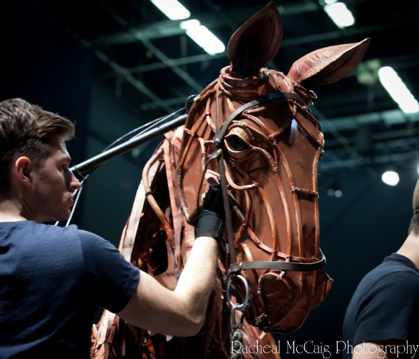 Photo Coverage: Sneak Peek at Toronto's WAR HORSE Image