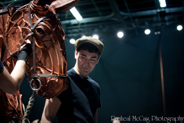 Photo Coverage: Sneak Peek at Toronto's WAR HORSE Image