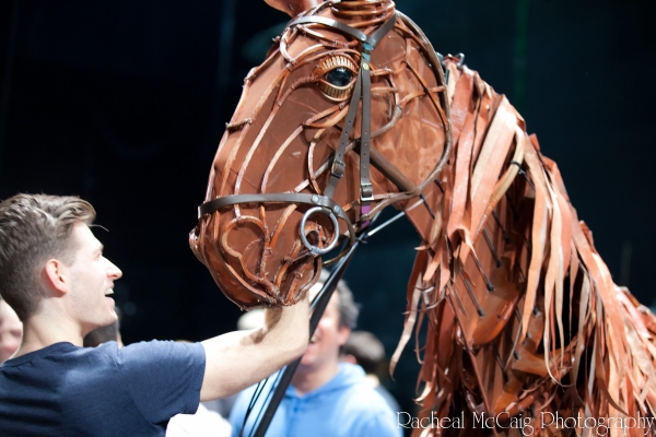 Photo Coverage: Sneak Peek at Toronto's WAR HORSE Image