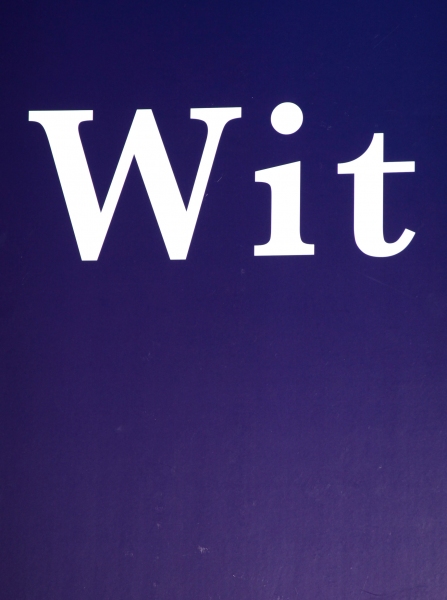 Photo Coverage: WIT Opening on Broadway Party Image