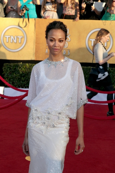 Photo Coverage: Viola Davis, GLEE & More on the SAG Red Carpet! Image