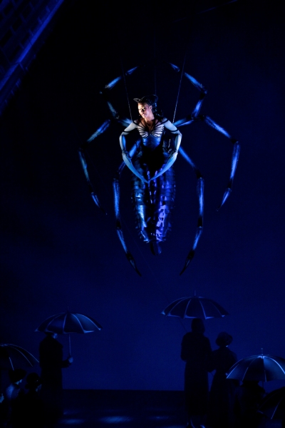 Photo Flash: First Look at Christina Sajous, Rebecca Faulkenberry in SPIDER-MAN Image