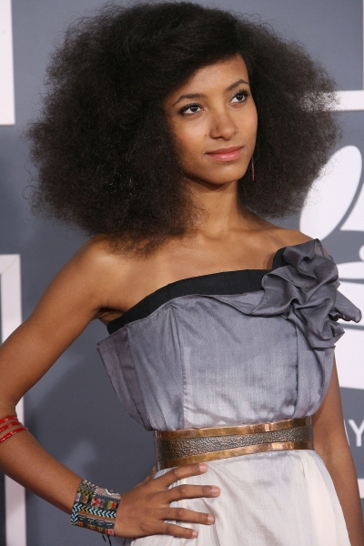 Photo Coverage: Red Carpet Fashions from the 2012 Grammys! Image