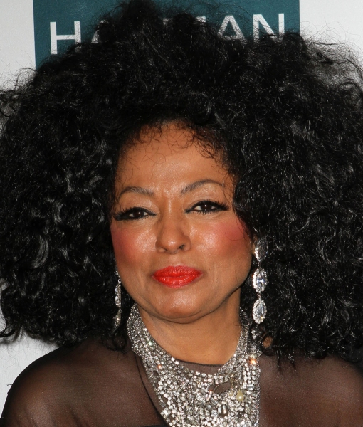 Photo Flash: Inside Clive Davis' 2012 Pre-Grammy Gala! Image