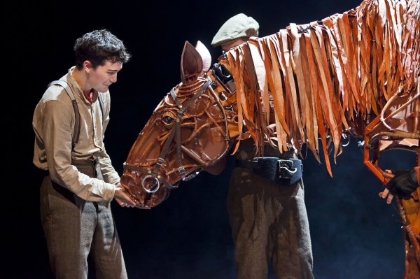 Photo Coverage: First Look at WAR HORSE Canadian Cast Image