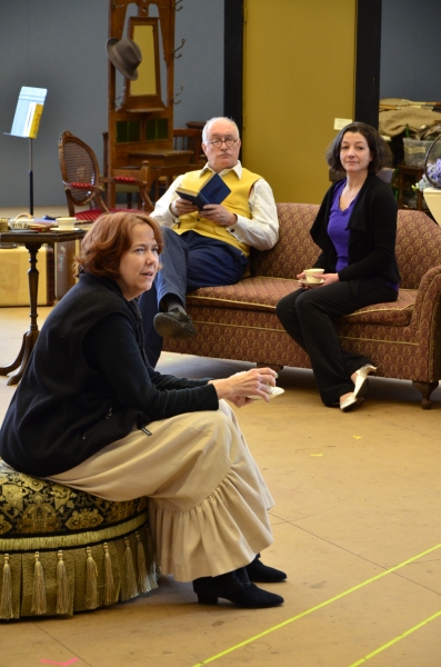 Photo Flash: Meet the Cast of Guthrie Theater's HAY FEVER Image