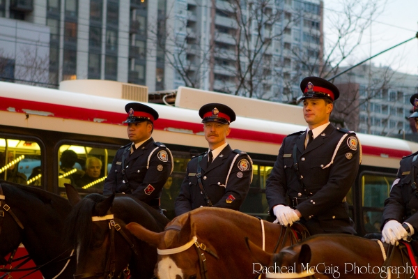 Photo Coverage: WAR HORSE Opens in Toronto - All the Red Carpet Action! Image