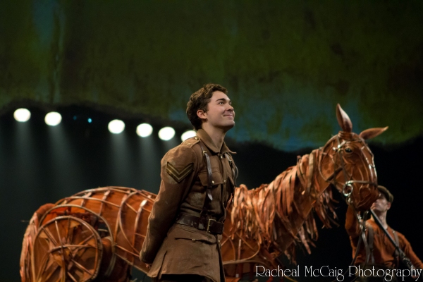 Photo Coverage: WAR HORSE Opens in Toronto - All the Red Carpet Action! Image